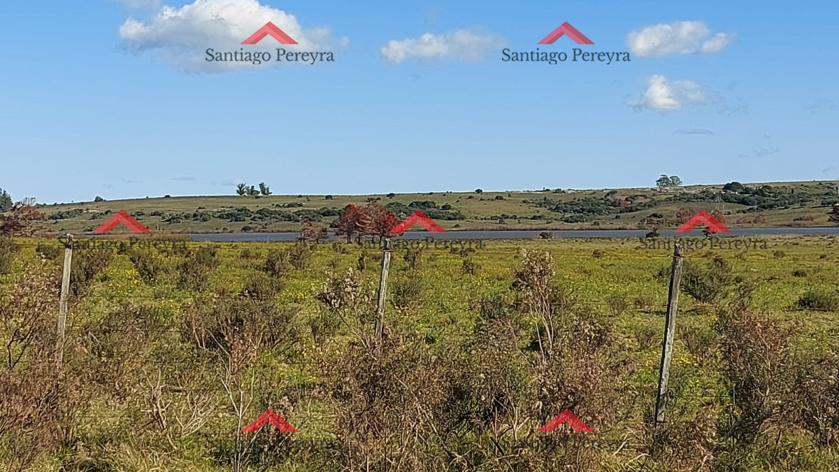 Laguna del Sauce - GoPunta - Portal Inmobiliario de Punta del Este - Maldonado
