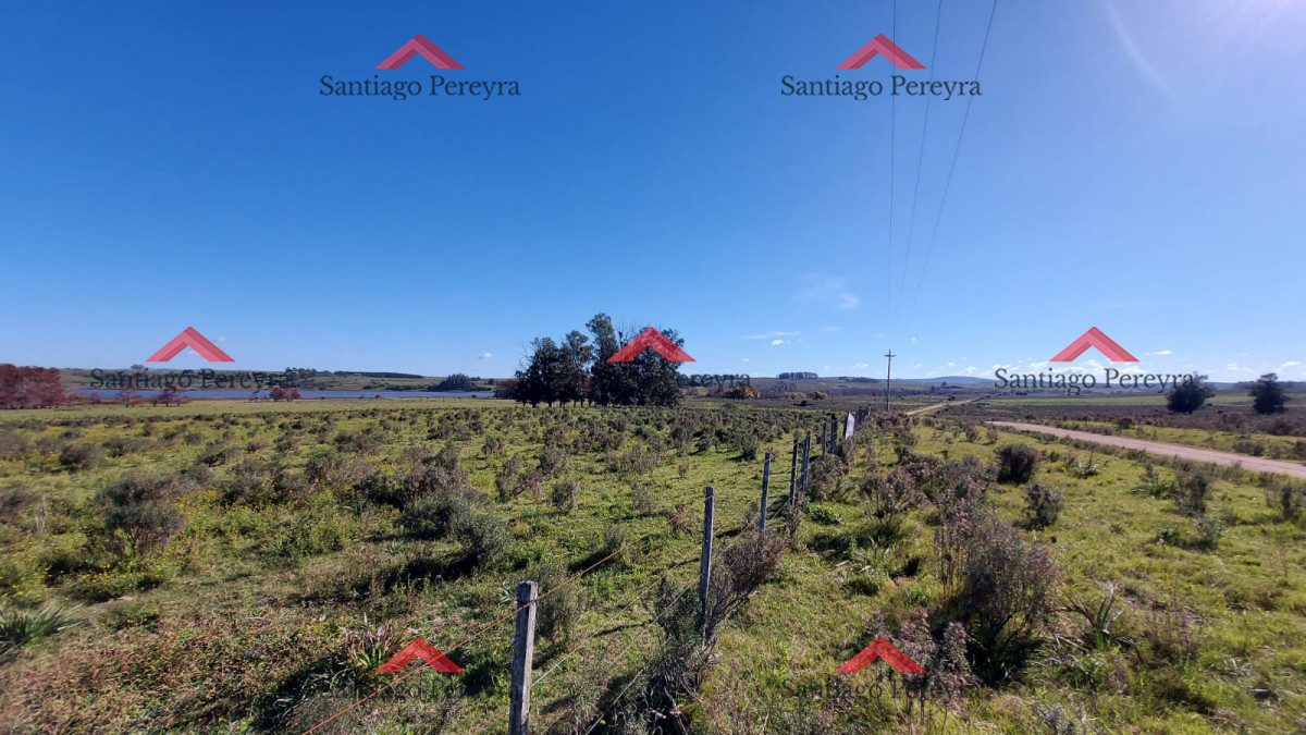 Laguna del Sauce - GoPunta - Portal Inmobiliario de Punta del Este - Maldonado