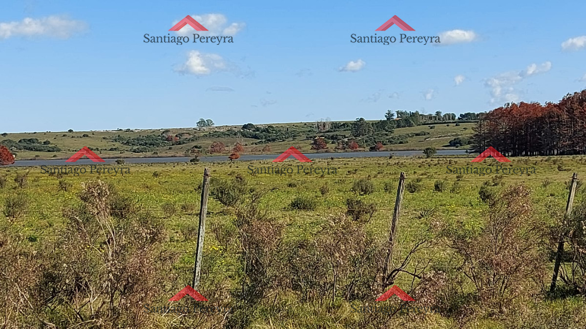 Laguna del Sauce - GoPunta - Portal Inmobiliario de Punta del Este - Maldonado