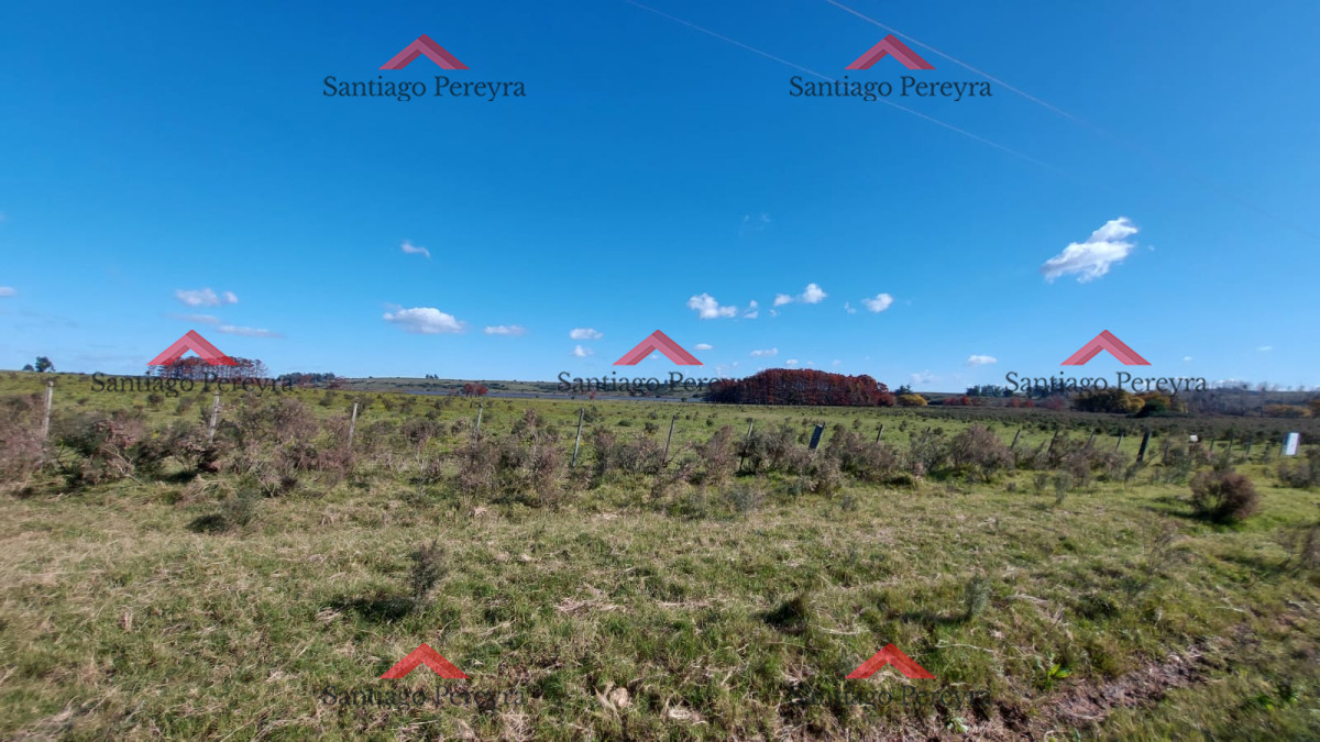 Laguna del Sauce - GoPunta - Portal Inmobiliario de Punta del Este - Maldonado