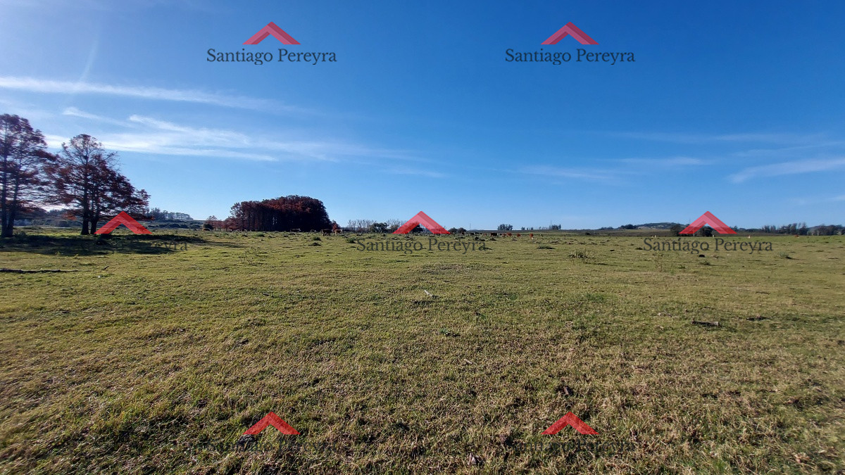 Laguna del Sauce - GoPunta - Portal Inmobiliario de Punta del Este - Maldonado