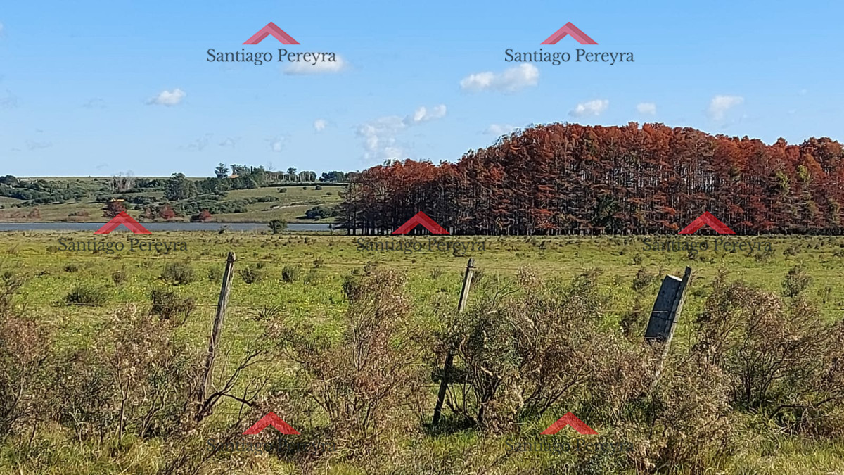 Laguna del Sauce - GoPunta - Portal Inmobiliario de Punta del Este - Maldonado