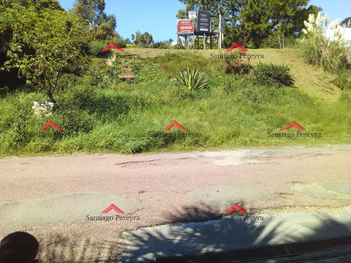 Lomo de la Ballena - GoPunta - Portal Inmobiliario de Punta del Este - Maldonado