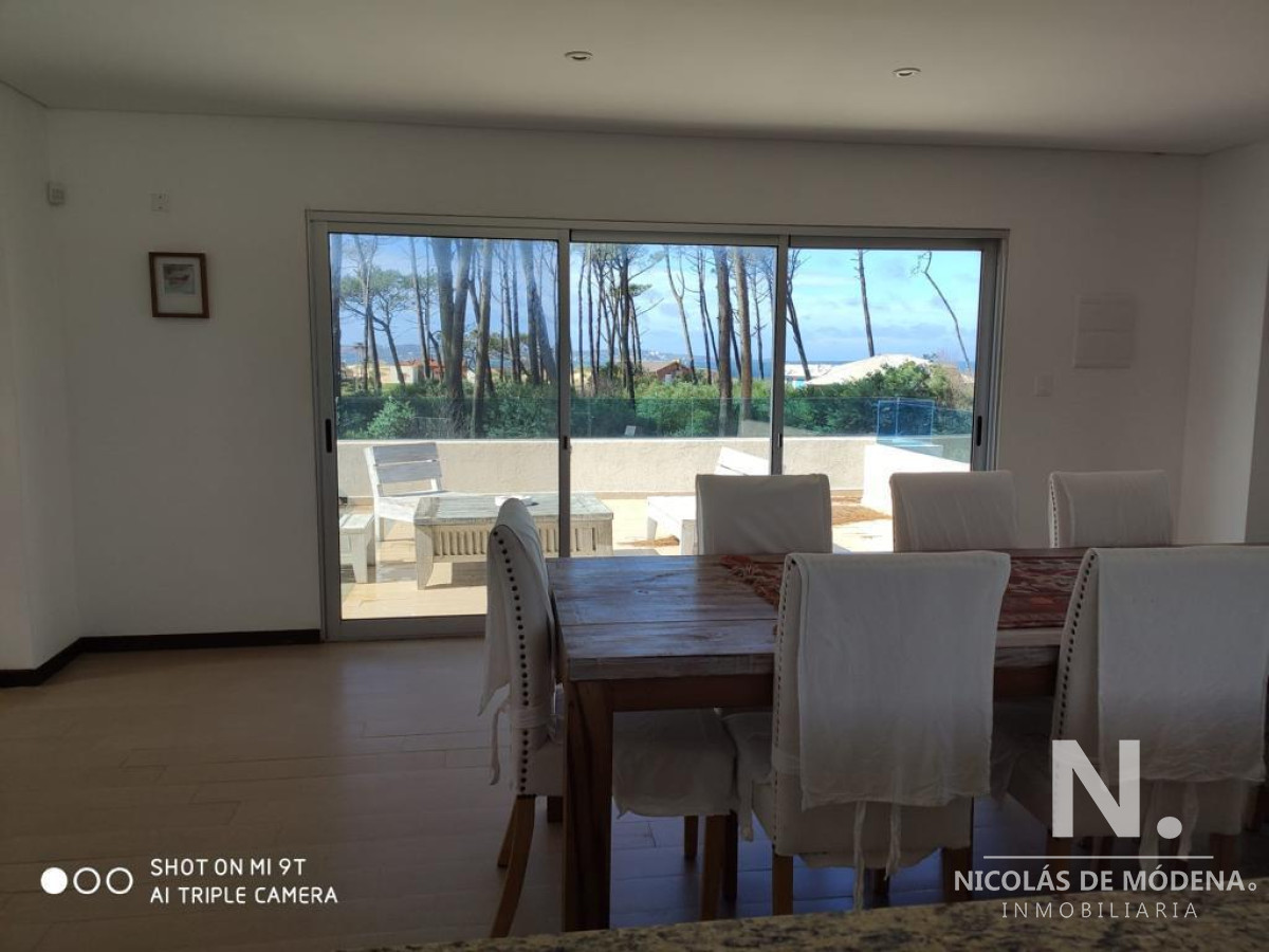 Chihuahua - GoPunta - Portal Inmobiliario de Punta del Este - Maldonado