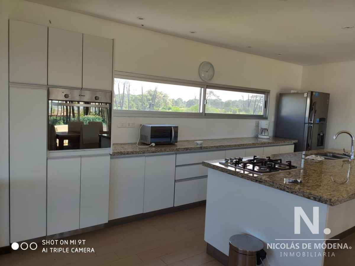 Chihuahua - GoPunta - Portal Inmobiliario de Punta del Este - Maldonado