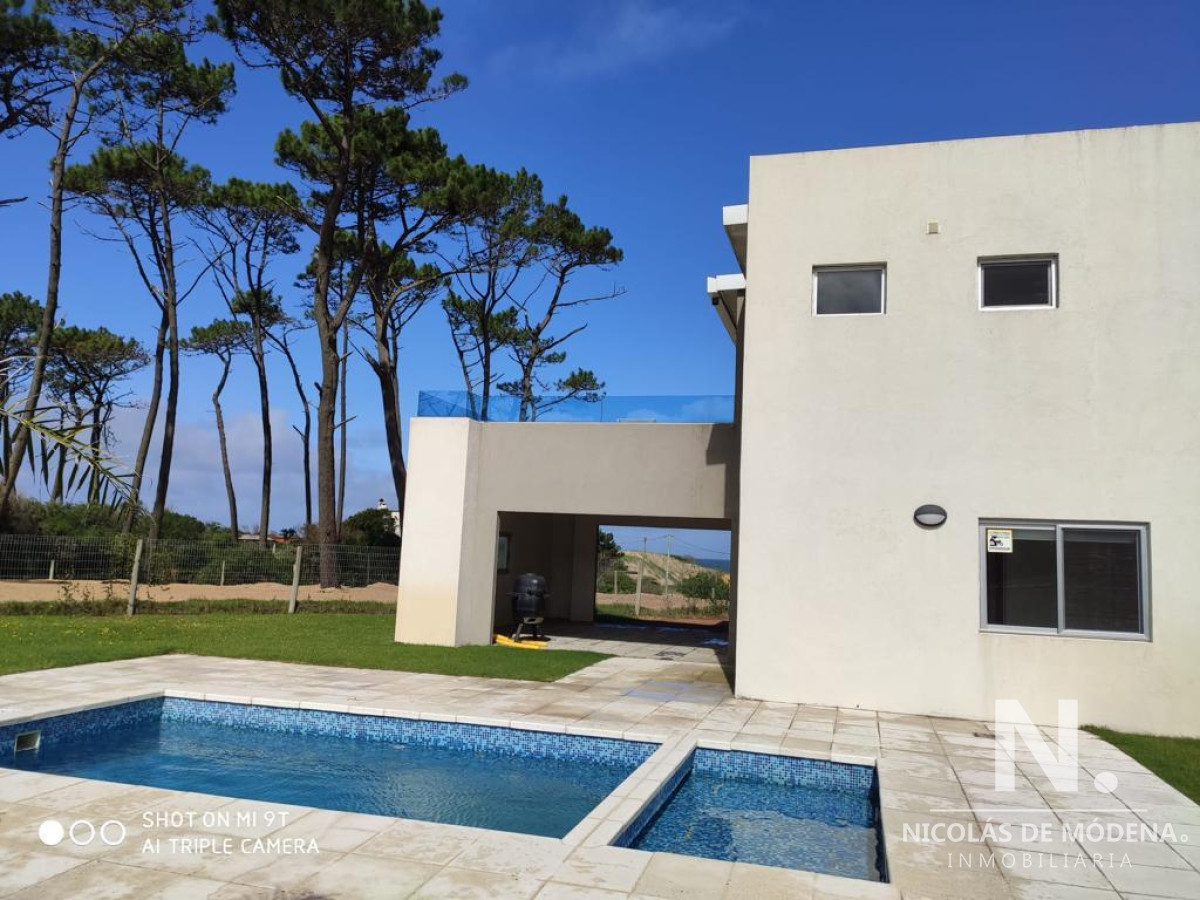Chihuahua - GoPunta - Portal Inmobiliario de Punta del Este - Maldonado