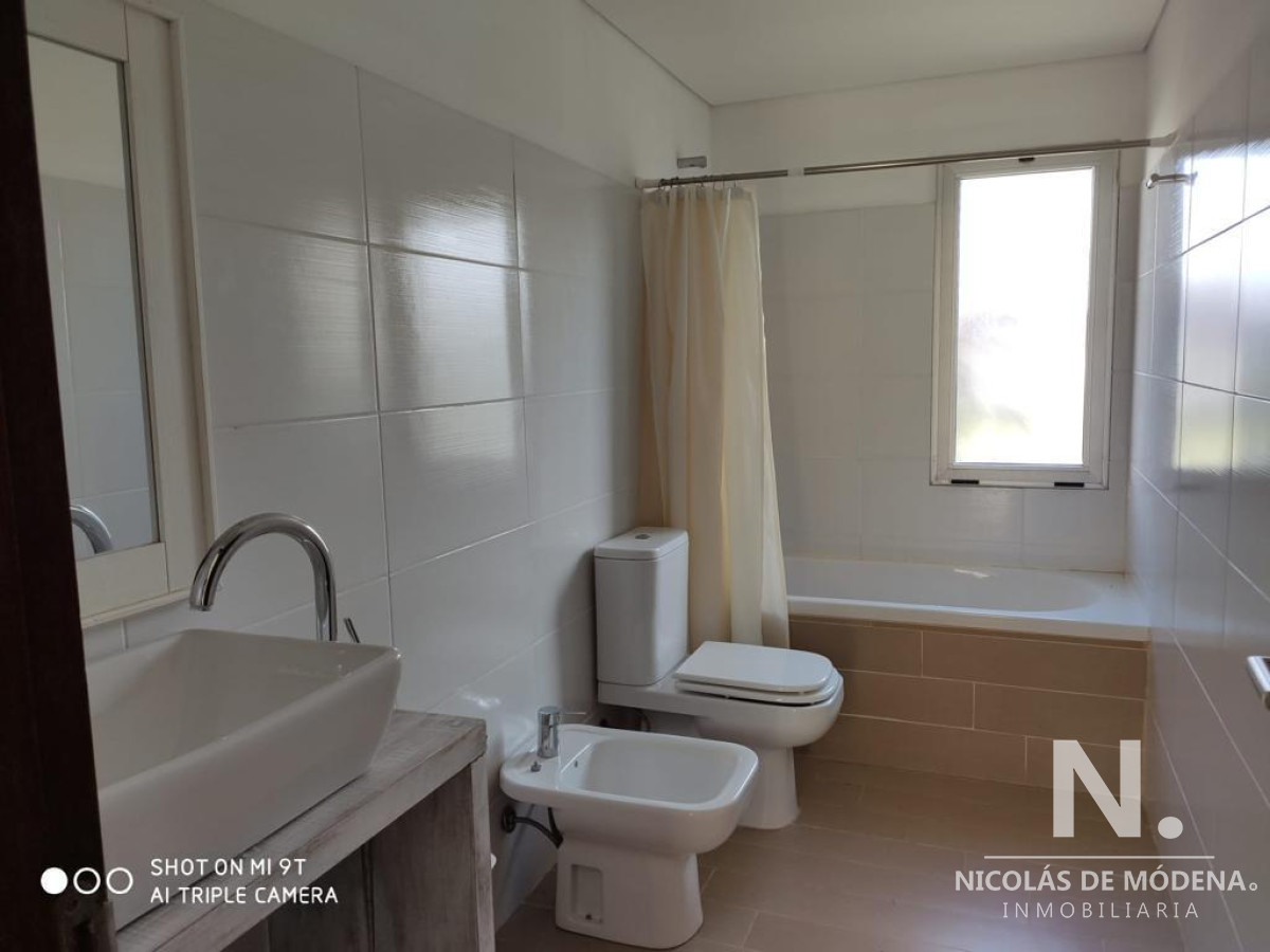 Chihuahua - GoPunta - Portal Inmobiliario de Punta del Este - Maldonado