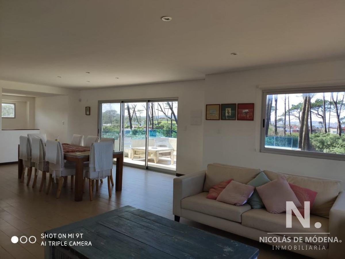 Chihuahua - GoPunta - Portal Inmobiliario de Punta del Este - Maldonado