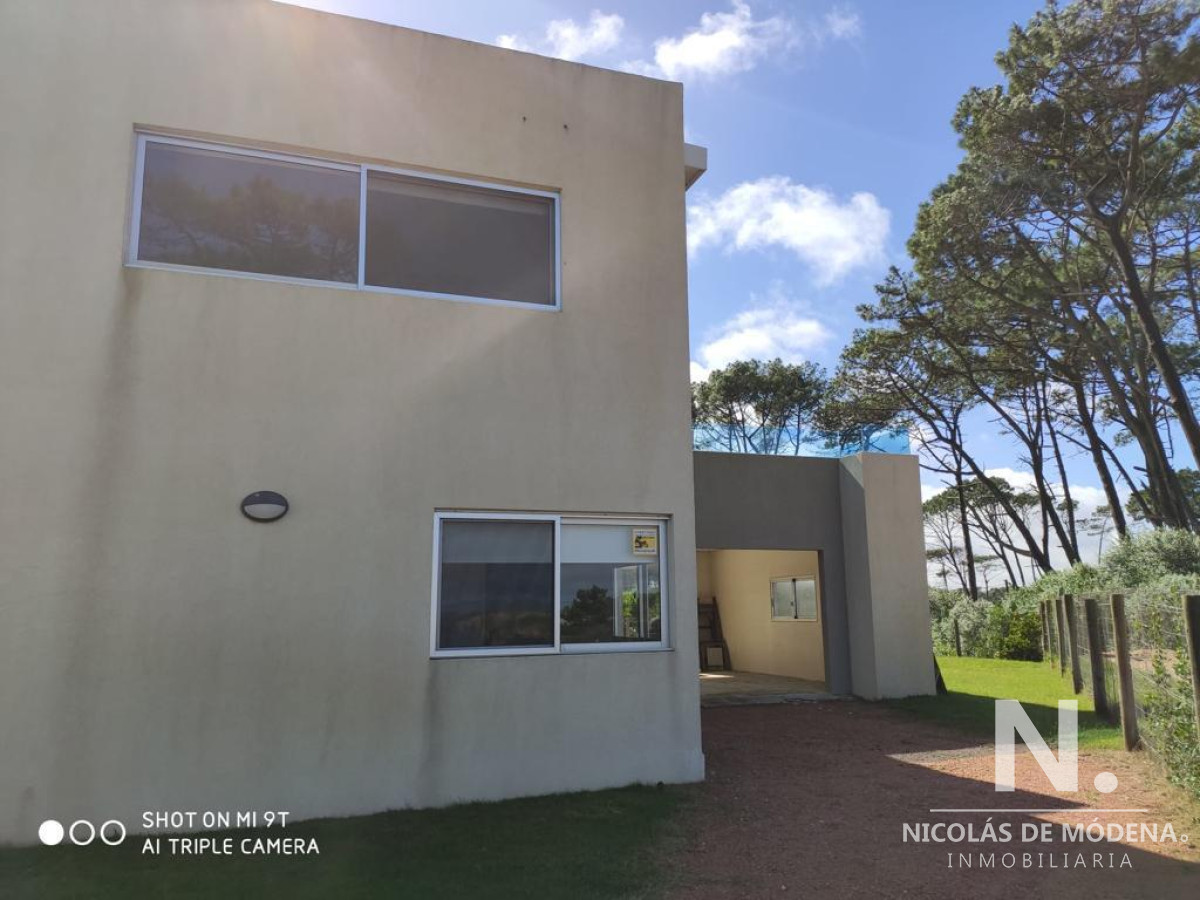 Chihuahua - GoPunta - Portal Inmobiliario de Punta del Este - Maldonado