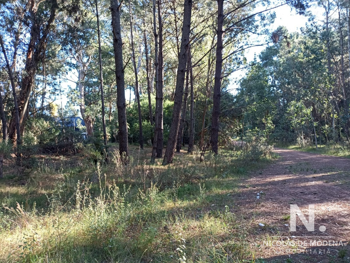 Pinares - GoPunta - Portal Inmobiliario de Punta del Este - Maldonado