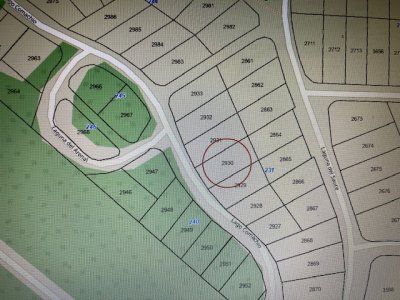 Hermoso lote ubicado en el corazón del bosque.