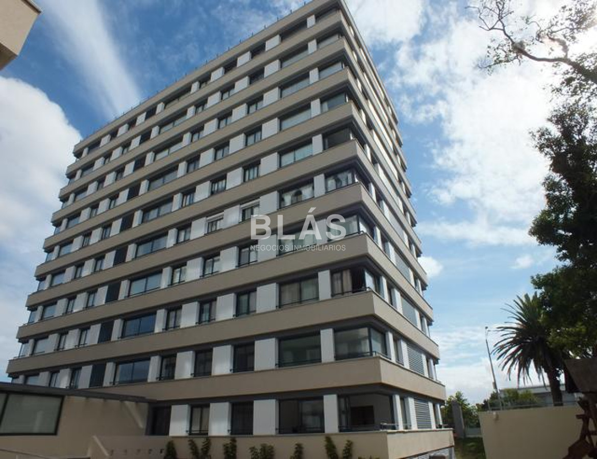 Maldonado - GoPunta - Portal Inmobiliario de Punta del Este - Maldonado