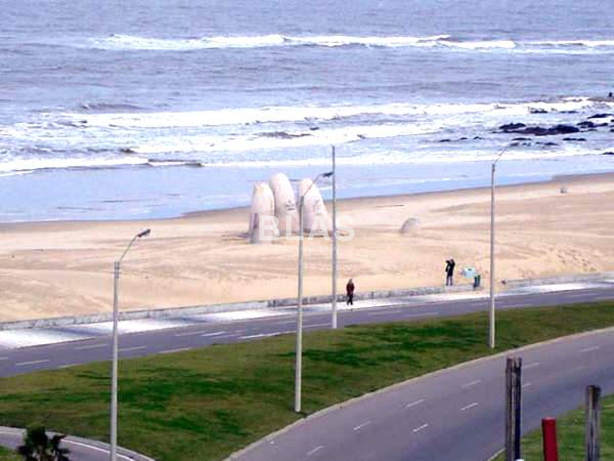 Brava - GoPunta - Portal Inmobiliario de Punta del Este - Maldonado