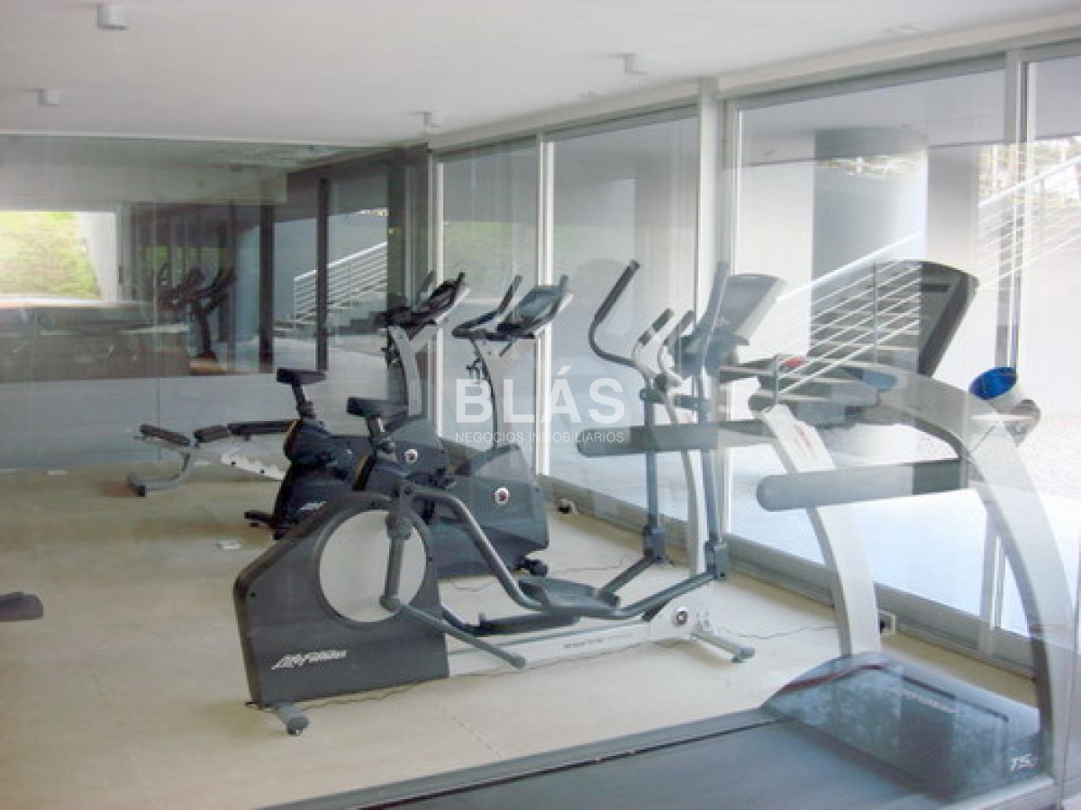 Aidy Grill - GoPunta - Portal Inmobiliario de Punta del Este - Maldonado