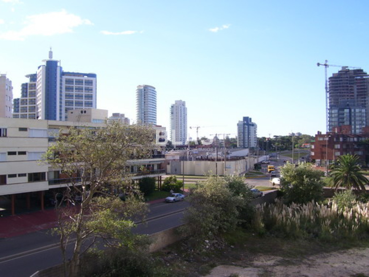 Brava - GoPunta - Portal Inmobiliario de Punta del Este - Maldonado
