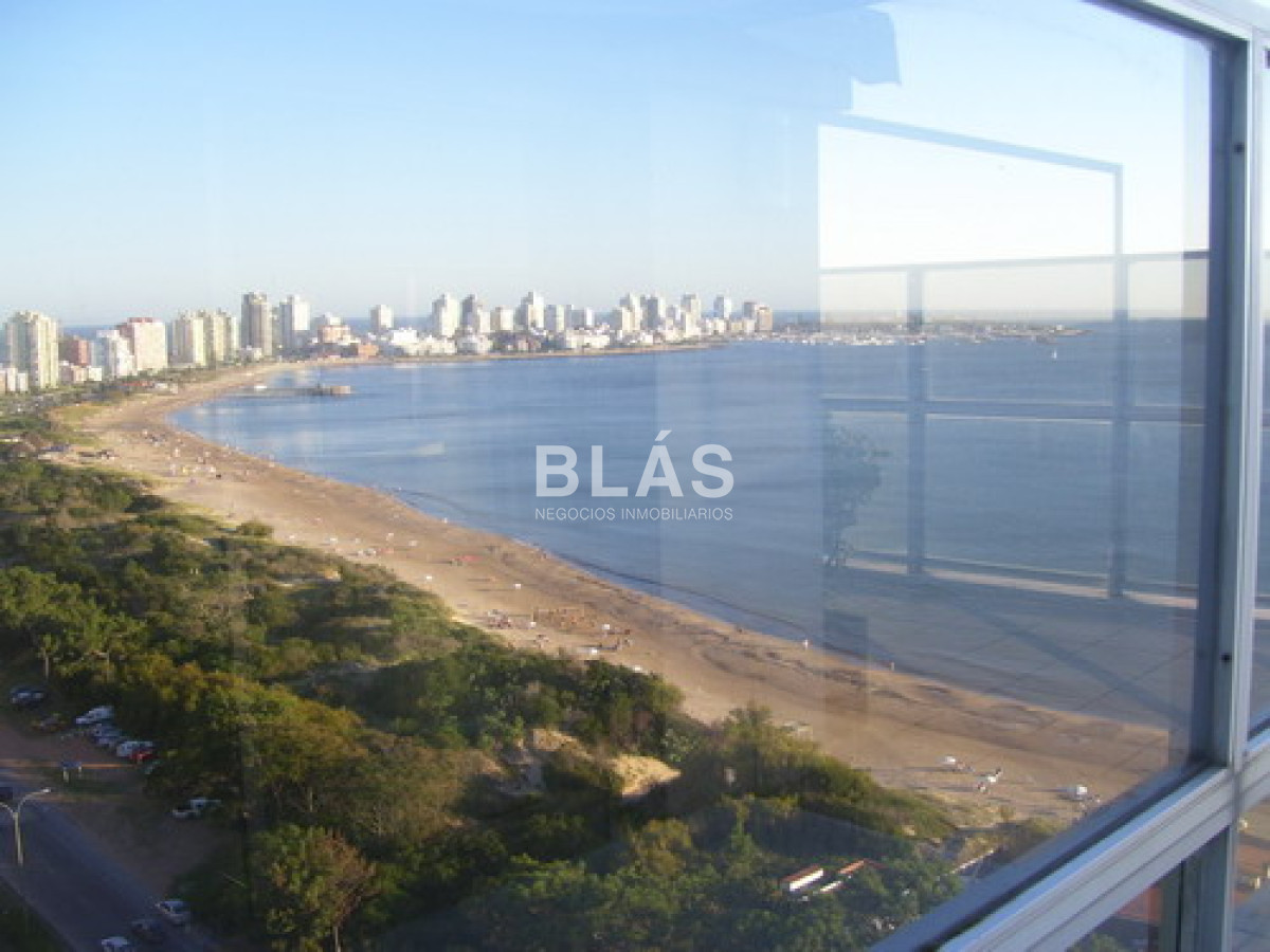 Mansa - GoPunta - Portal Inmobiliario de Punta del Este - Maldonado