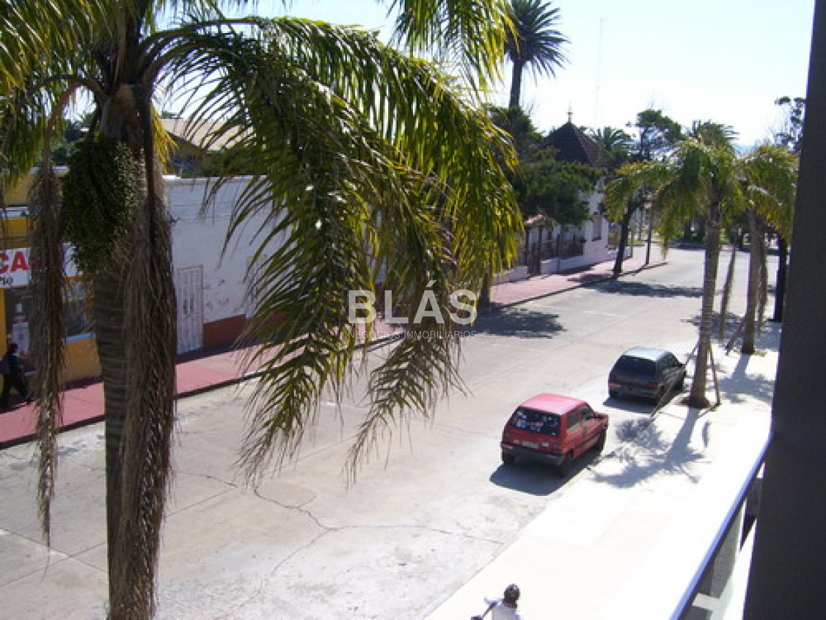 Puerto - GoPunta - Portal Inmobiliario de Punta del Este - Maldonado