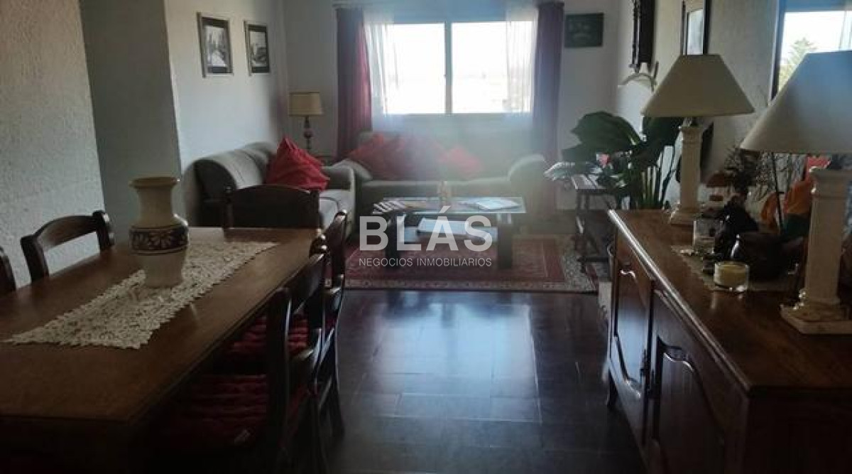 Centro Maldonado - GoPunta - Portal Inmobiliario de Punta del Este - Maldonado