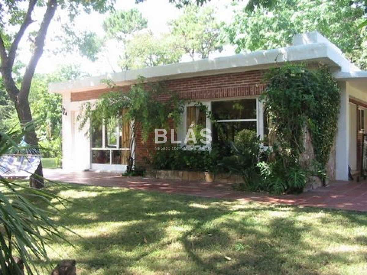 Lugano - GoPunta - Portal Inmobiliario de Punta del Este - Maldonado