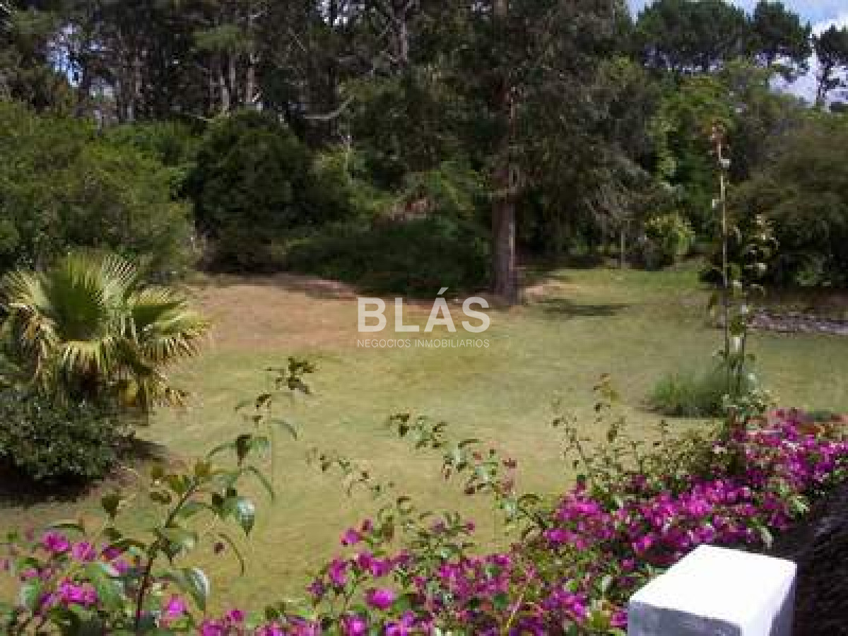 Rincu00f3n del Indio - GoPunta - Portal Inmobiliario de Punta del Este - Maldonado