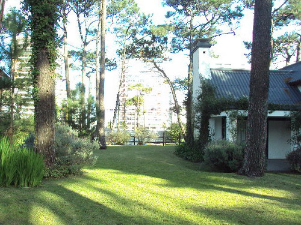 Aidy Grill - GoPunta - Portal Inmobiliario de Punta del Este - Maldonado