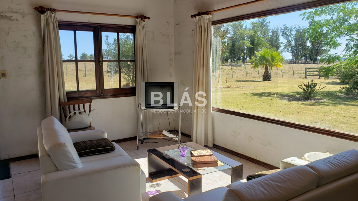 Ruta 9 - GoPunta - Portal Inmobiliario de Punta del Este - Maldonado