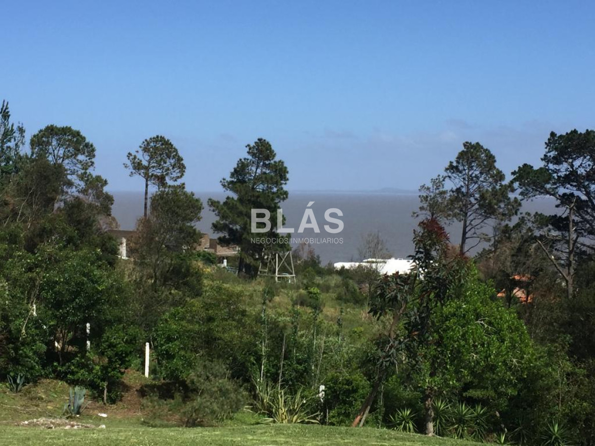 Punta Ballena - GoPunta - Portal Inmobiliario de Punta del Este - Maldonado