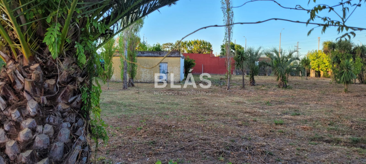 Sarubbi - GoPunta - Portal Inmobiliario de Punta del Este - Maldonado