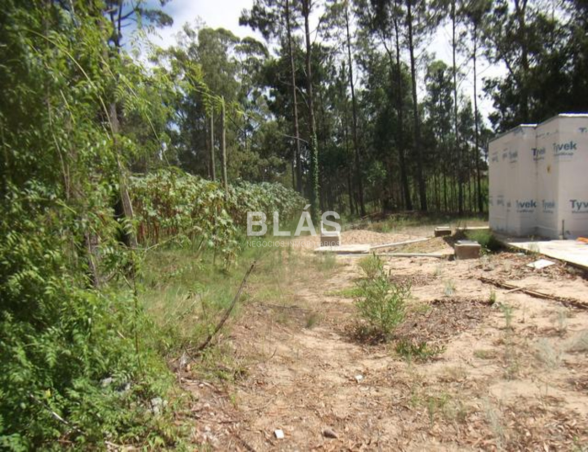Burnett - GoPunta - Portal Inmobiliario de Punta del Este - Maldonado
