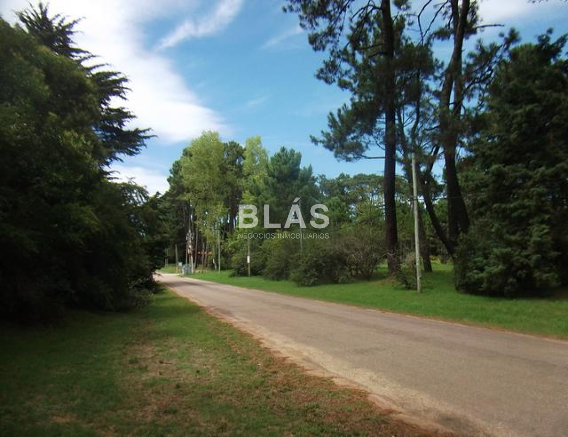 Burnett - GoPunta - Portal Inmobiliario de Punta del Este - Maldonado