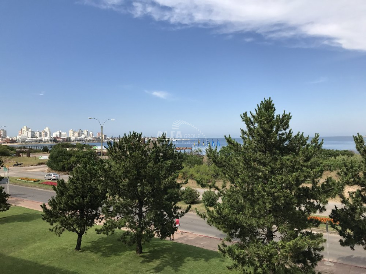 Mansa - GoPunta - Portal Inmobiliario de Punta del Este - Maldonado