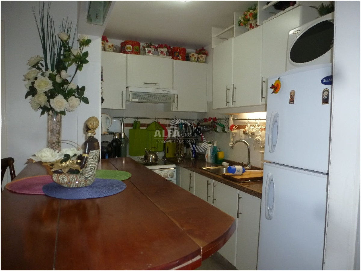 Aidy Grill - GoPunta - Portal Inmobiliario de Punta del Este - Maldonado