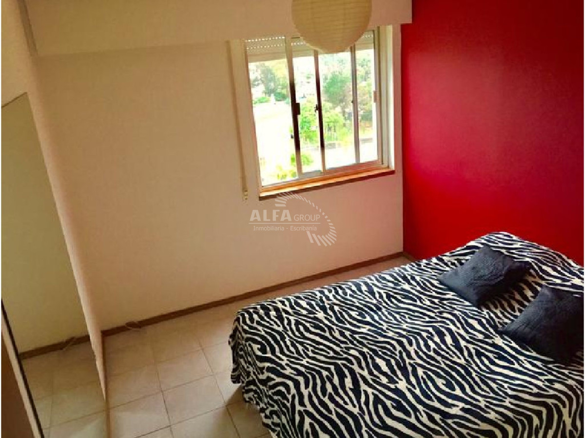 Centro Maldonado - GoPunta - Portal Inmobiliario de Punta del Este - Maldonado