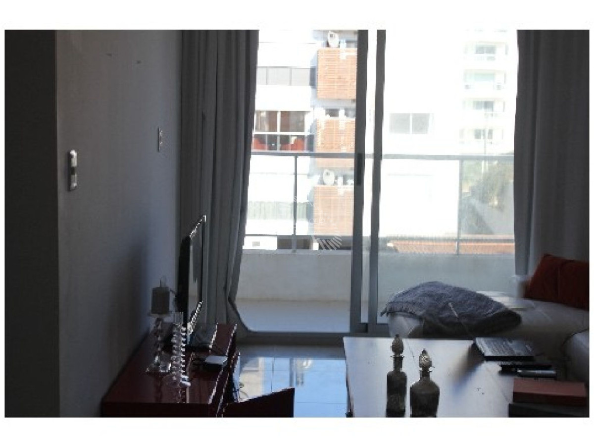 Aidy Grill - GoPunta - Portal Inmobiliario de Punta del Este - Maldonado
