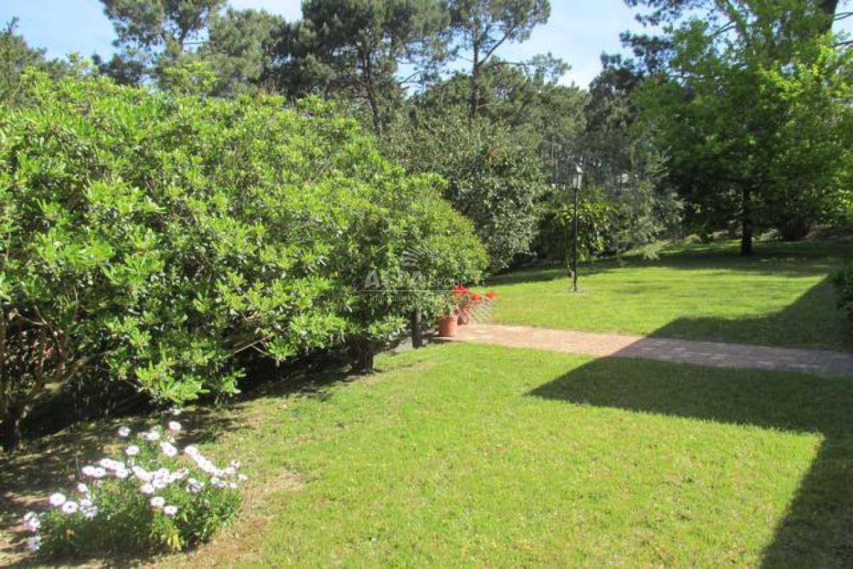 Rincón del Indio - GoPunta - Portal Inmobiliario de Punta del Este - Maldonado