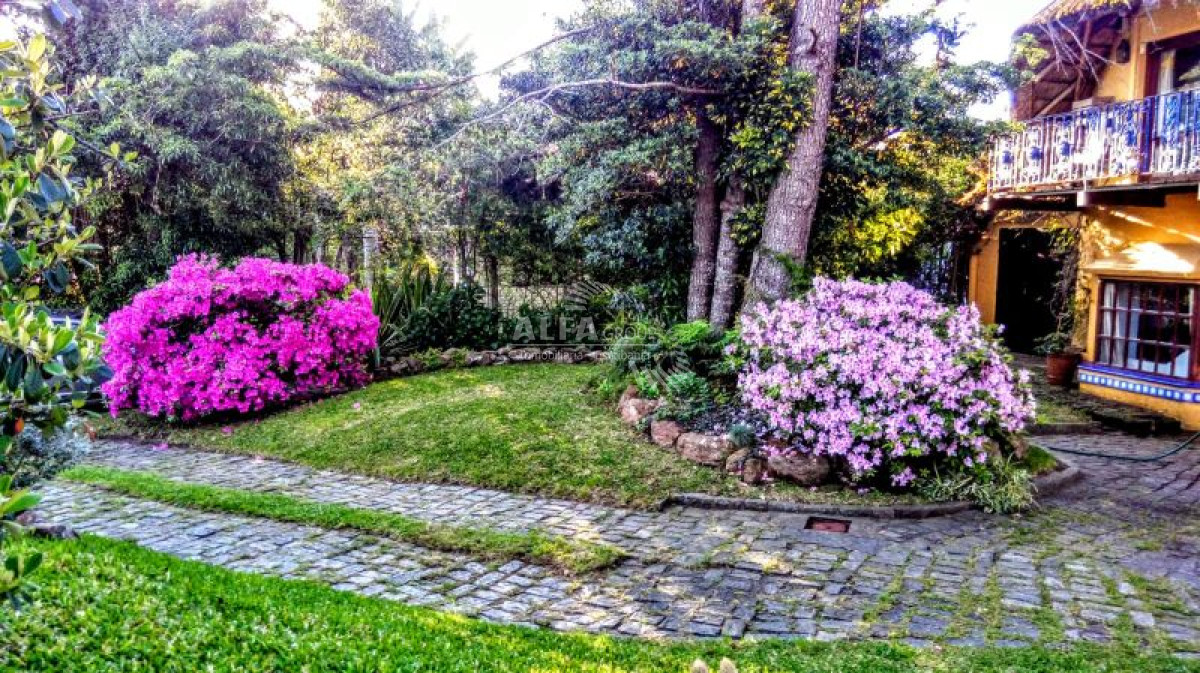 Pinares - GoPunta - Portal Inmobiliario de Punta del Este - Maldonado