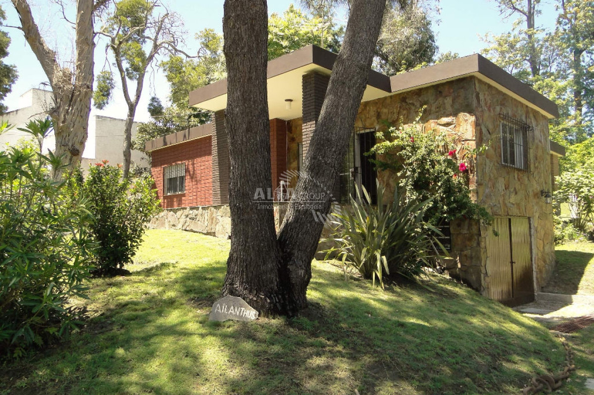 Pinares - GoPunta - Portal Inmobiliario de Punta del Este - Maldonado