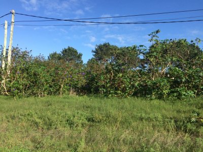 Terreno en Rincón del Indio 