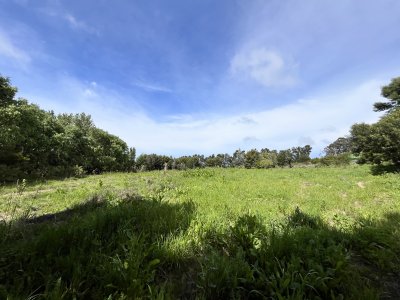 Venta chacra 6ha próximo a Laguna de los Cisnes Punta del Este