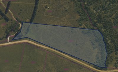 Venta chacra 5,6 ha Pan de Azucar, Maldonado