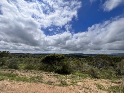 Venta chacra 4,5 ha Maldonado