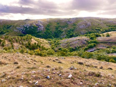 Venta para fraccionar CHACRAS EN ALTURA, SIERRAS DE MALDONADO