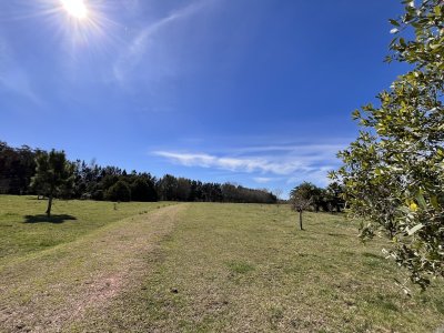 Venta chacra 5Ha Zona La Pataia Punta del Este