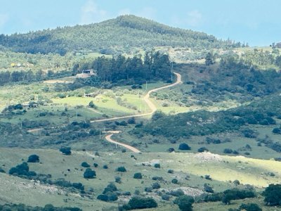 Venta chacra 5ha Pan de azucar