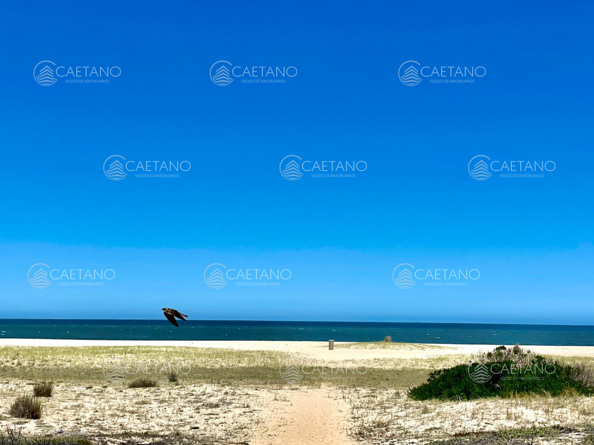 Montoya - GoPunta - Portal Inmobiliario de Punta del Este - Maldonado