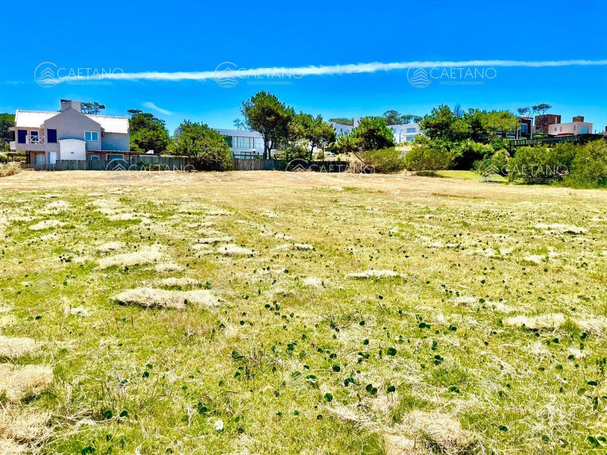 Montoya - GoPunta - Portal Inmobiliario de Punta del Este - Maldonado