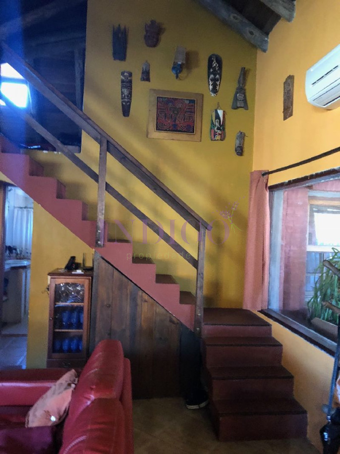 Tio Tom - GoPunta - Portal Inmobiliario de Punta del Este - Maldonado