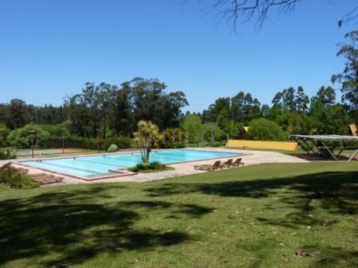 Punta Ballena - GoPunta - Portal Inmobiliario de Punta del Este - Maldonado