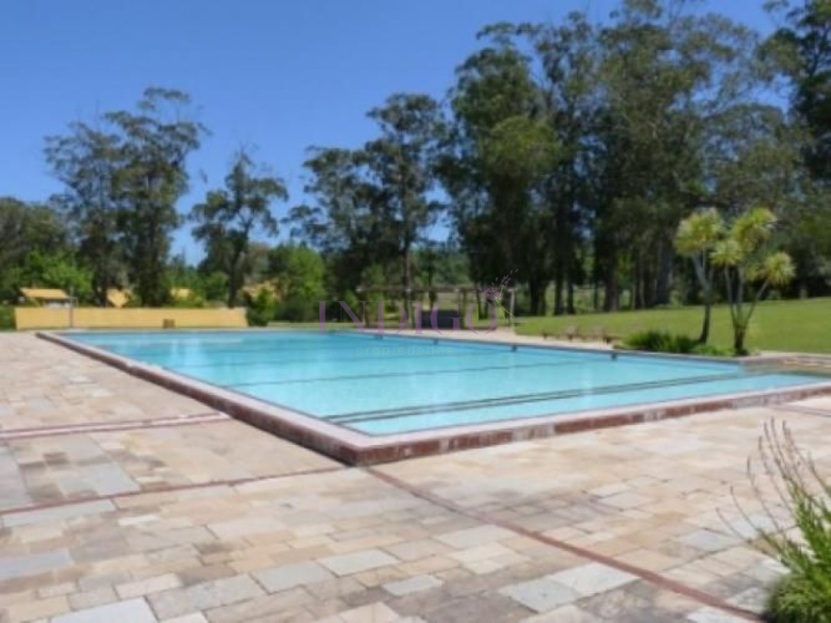Punta Ballena - GoPunta - Portal Inmobiliario de Punta del Este - Maldonado