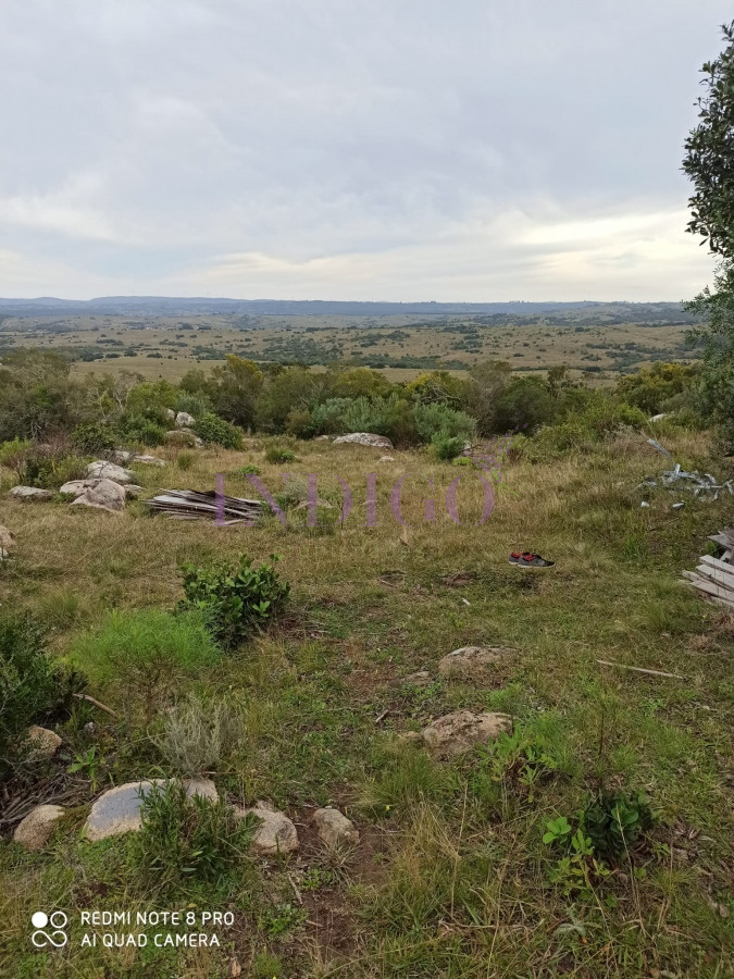 Las Cañas - GoPunta - Portal Inmobiliario de Punta del Este - Maldonado